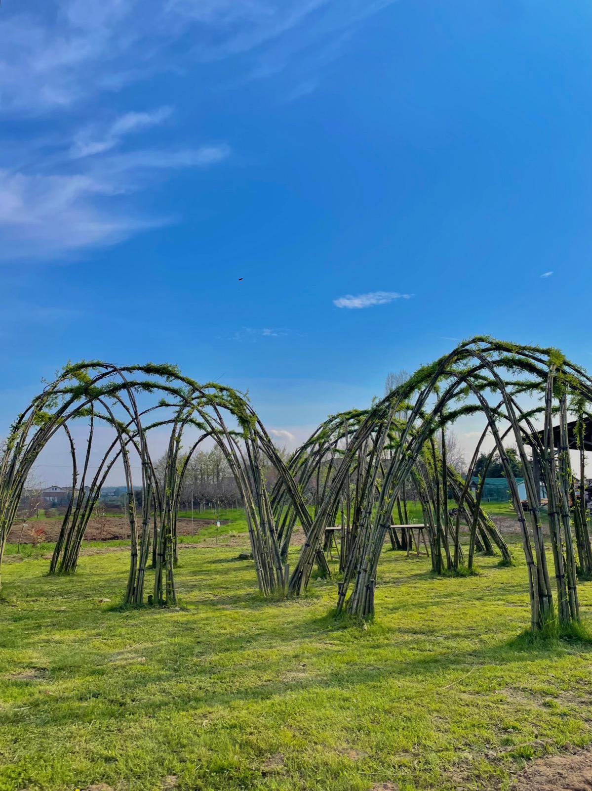 Arena del Cambiamento | Premio +bellezza in Valle
