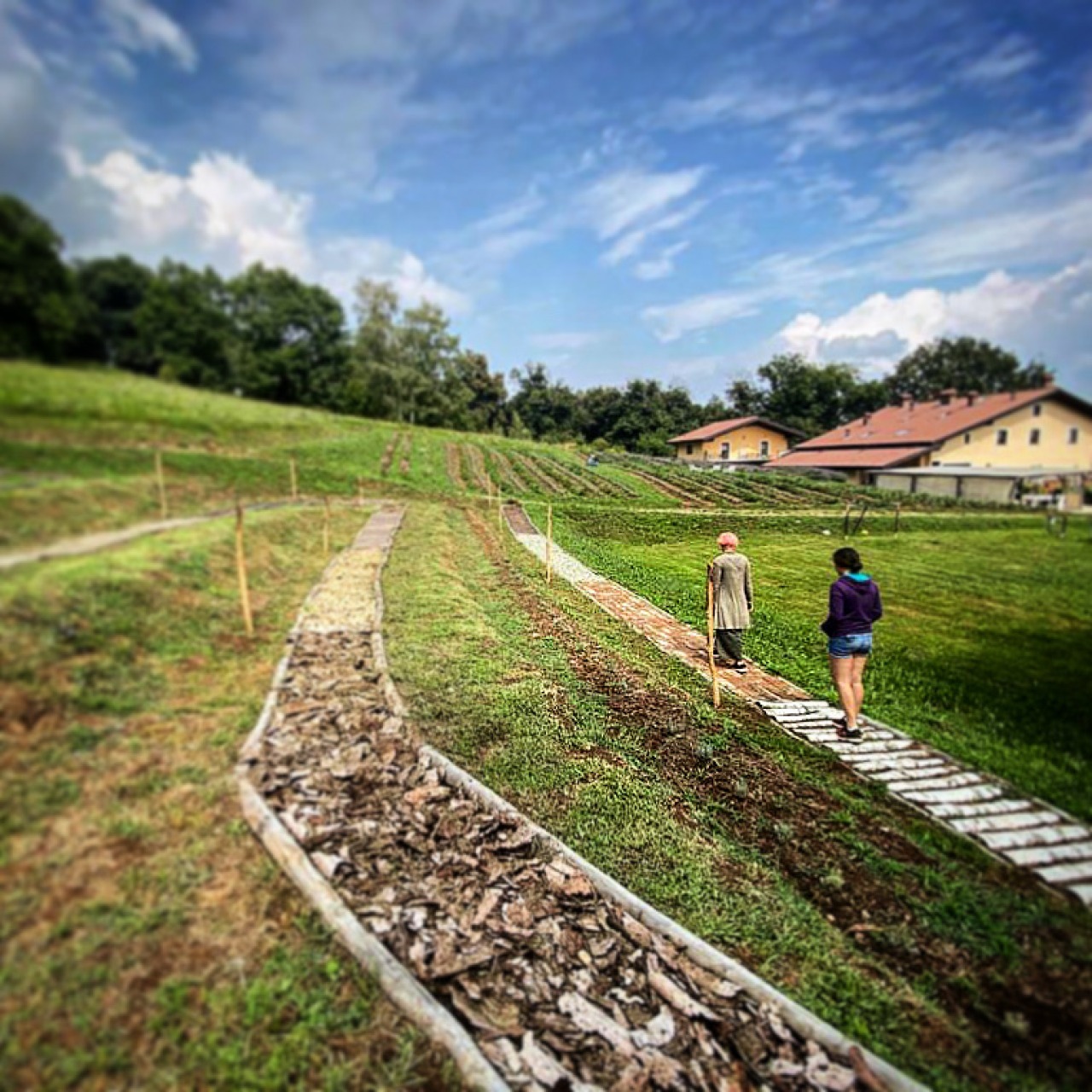 premio + bellezza in Valle - Premessa