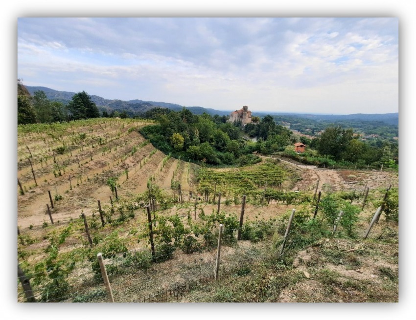 Azienda Agricola Lorenzo Rovero viticoltore biologico | Premio +bellezza in Valle